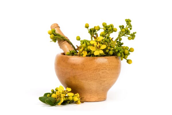 Aavaram Flower Tea - Benefits, Uses and Recipe